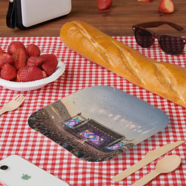 Music Fest Paper Plate (Picnic)