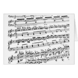 Music Major/Student/Teacher