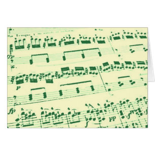 Music Major/Student/Teacher