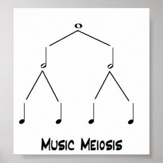 Music Meiosis Poster