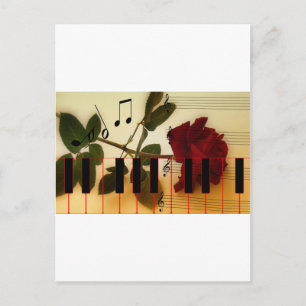 Music Notes Keyboard Red Rose Blossom Destiny Postcard