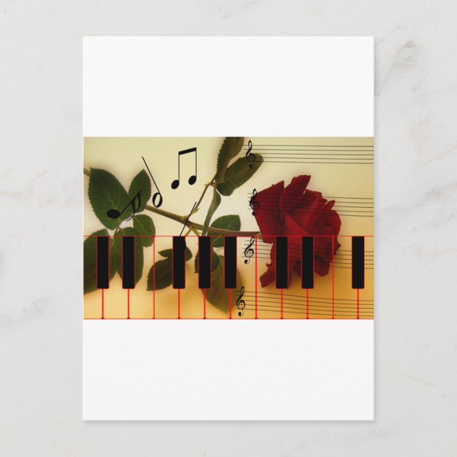 Music Notes Keyboard Red Rose Blossom Destiny Postcard (Front)