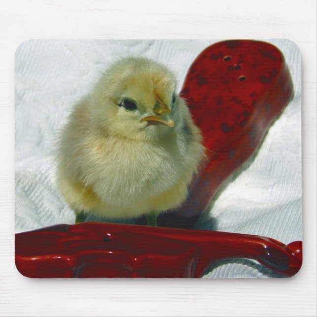 Musical Chick Mouse Pad (Front)