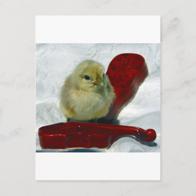 Musical Chick Postcard (Front)