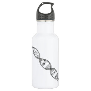 Musical DNA 532 Ml Water Bottle