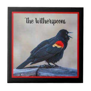 Musical Redwing Blackbird in a Marsh Tile