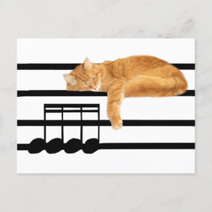 Musical tabby kitty cat postcard