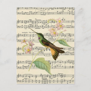 musique vintage de carte postale botanique de coli