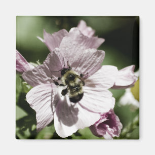 Musk in the Afternoon Magnet