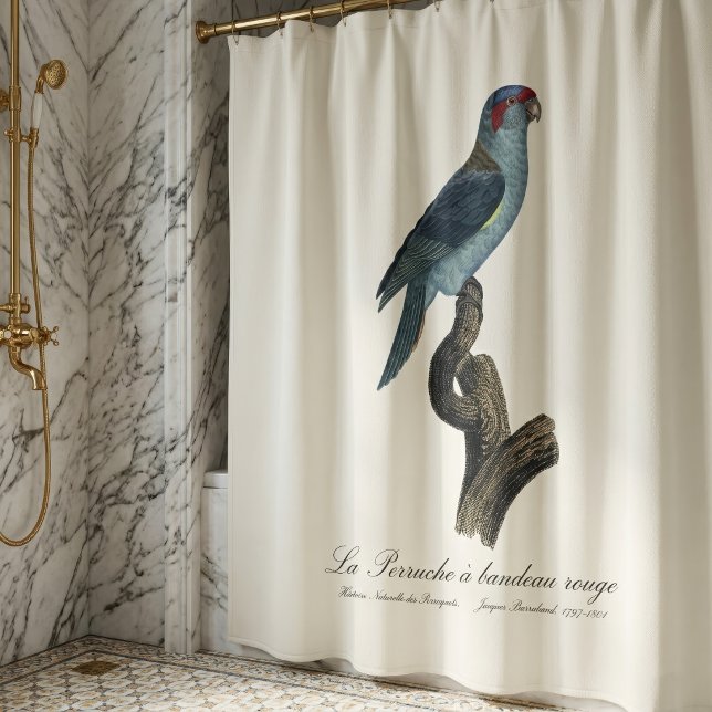Musk Lorikeet, Trichoglossus Concinnus (Musk Lorikeet, Trichoglossus Concinnus. Shower Curtain)