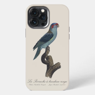 Musk Lorikeet, Trichoglossus Concinnus iPhone 13 Pro Max Case