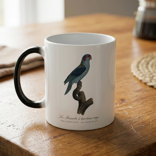 Musk Lorikeet, Trichoglossus Concinnus Magic Mug