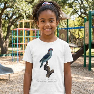 Musk Lorikeet, Trichoglossus Concinnus T-Shirt