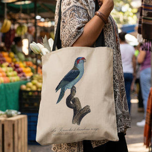 Musk Lorikeet, Trichoglossus Concinnus Tote Bag