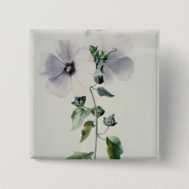 Musk Mallow, 18th century 2 Inch Square Button (Front)