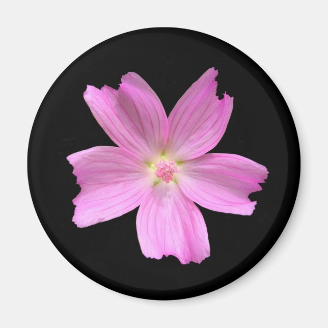 Musk-mallow Magnet (Front)