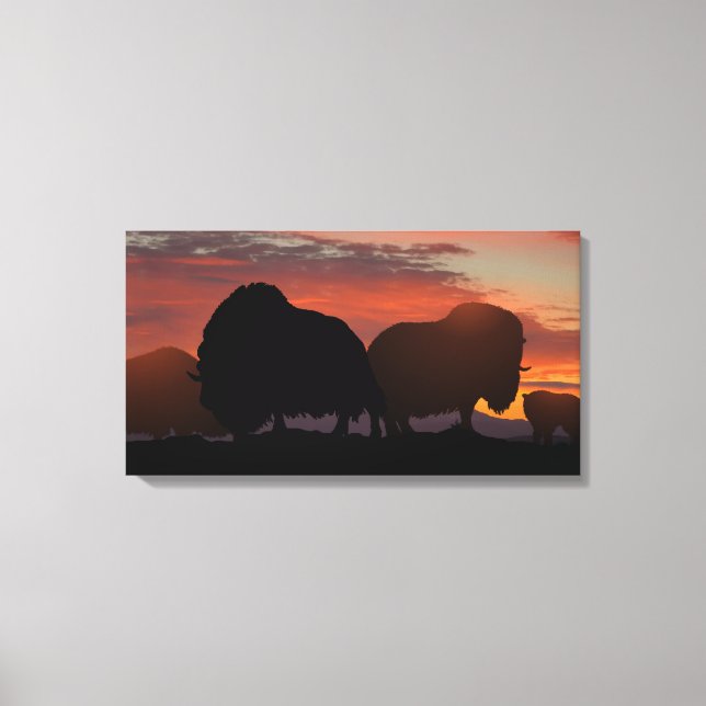 Musk Ox Canvas Print (Front)