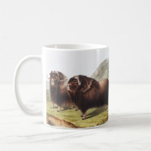 Musk Ox (Ovibos moschatus) Illustration Coffee Mug
