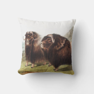 Musk Ox (Ovibos moschatus) Illustration Throw Pillow