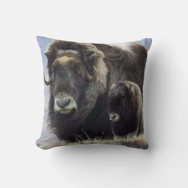 Musk Ox with Calf Throw Pillow (Front)