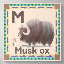 Musk Ox
