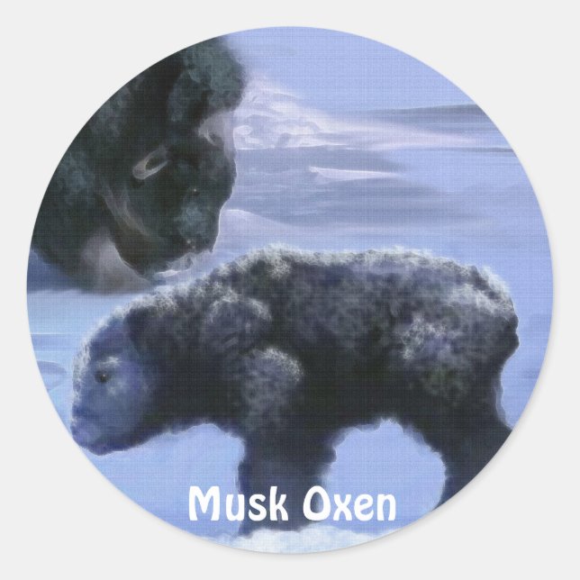 Musk Oxen and Snow Animal-Lover Art Set Classic Round Sticker (Front)