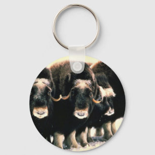 Musk Oxen Keychain
