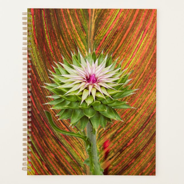 Musk Thistle (Carduus nutans) Planner (Front)