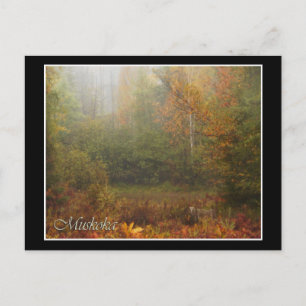 Muskoka Autumn Postcard