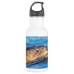 Muskrat at Vassar Farms Ecological Preserve 532 Ml Water Bottle