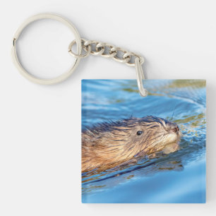 Muskrat at Vassar Farms Ecological Preserve Keychain