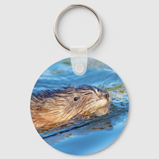Muskrat at Vassar Farms Ecological Preserve Keychain (Front)