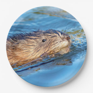 Muskrat at Vassar Farms Ecological Preserve Paper Plate