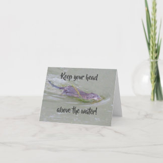 Muskrat Card
