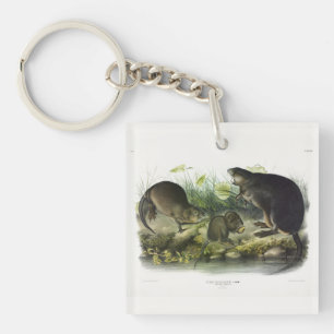 Muskrat from Audubon's Quadrupeds of North America Keychain