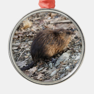 Muskrat Metal Ornament