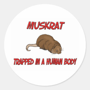 Muskrat trapped in a human body classic round sticker