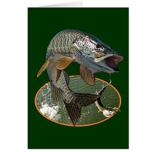 Musky 6 (Front)