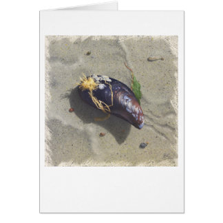 MUSSEL BEACH Card