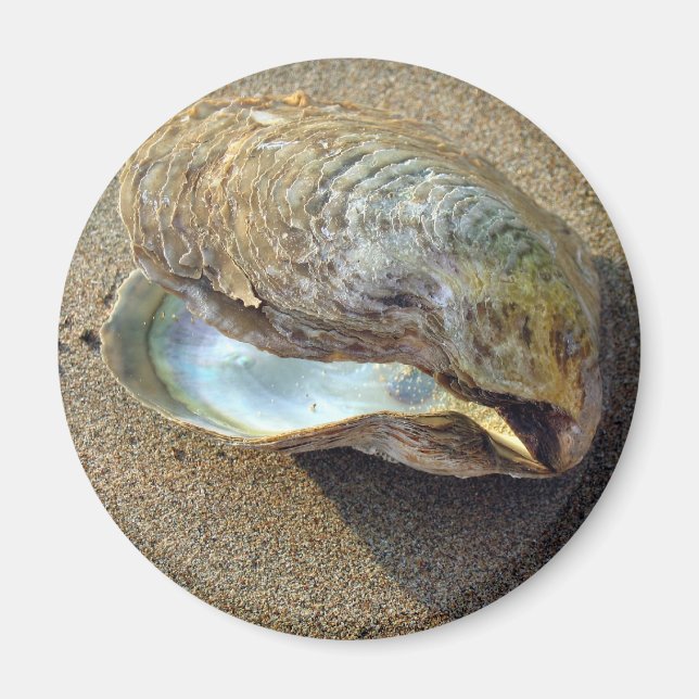 Mussel Seashell Sand Beach Magnet (Front)