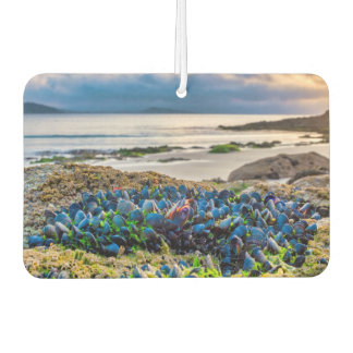Mussels Air Freshener