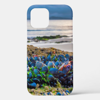 Mussels iPhone 12 Pro Case