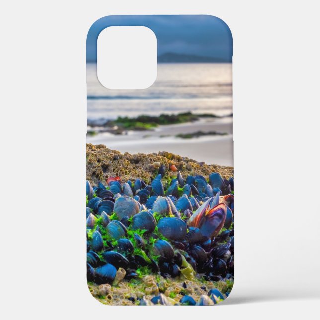 Mussels Case-Mate iPhone Case (Back)