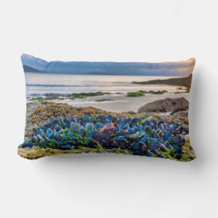 Mussels Lumbar Pillow