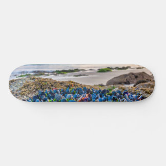 Mussels Skateboard