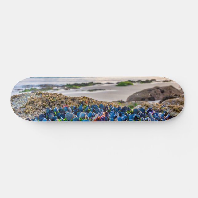 Mussels Skateboard (Horz)