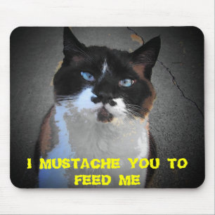 MUSTACHE CAT IS HUNGRY "Feed Me" Meme Mouse Pad