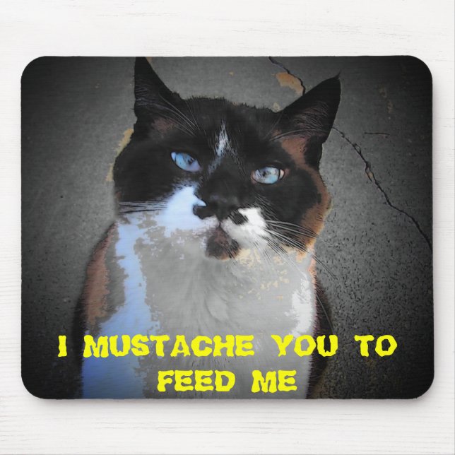 MUSTACHE YOU CAT IS HUNGRY MOUSE PAD (Front)