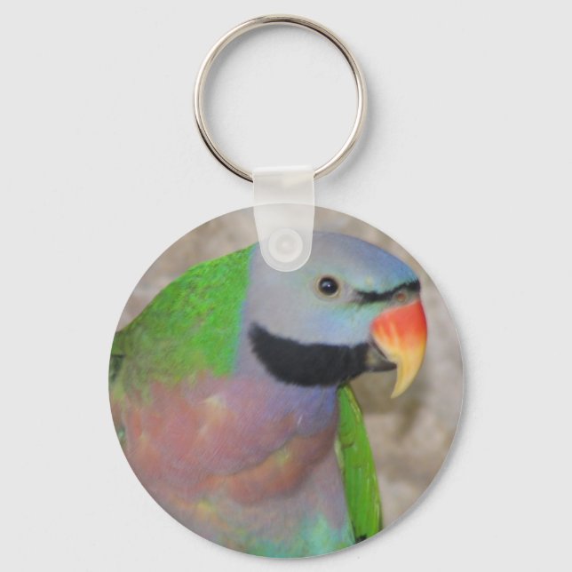 Mustached Parakeet Keychain (Front)