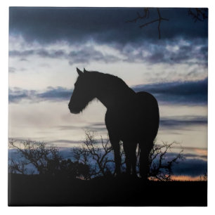 Mustang and Storm Fine Art Tile